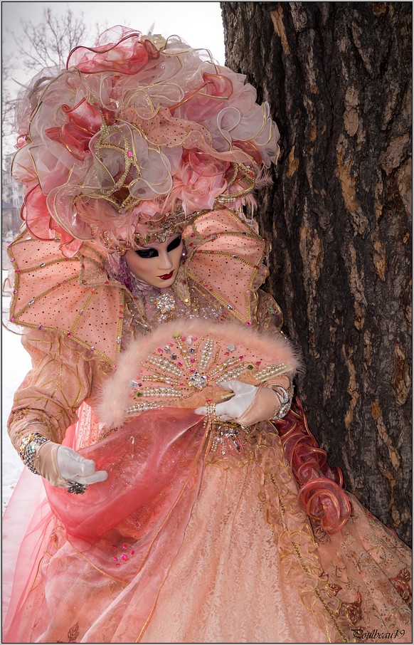 ANNECY Le Carnaval Vénitien ( les Photos ) Pba_04-3c252f2