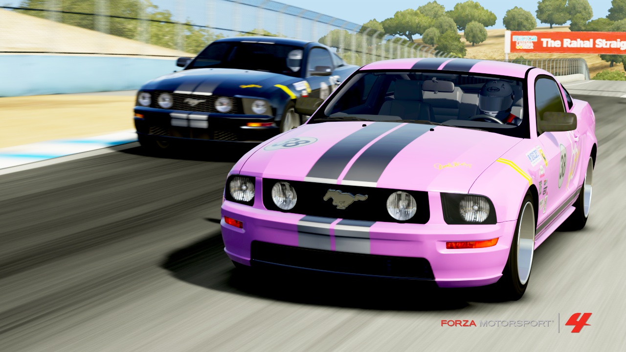 forza803-3b997a6.png