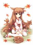 http://img92.xooimage.com/files/f/9/0/fille-renard-254638c0b-3cfb08a.jpg